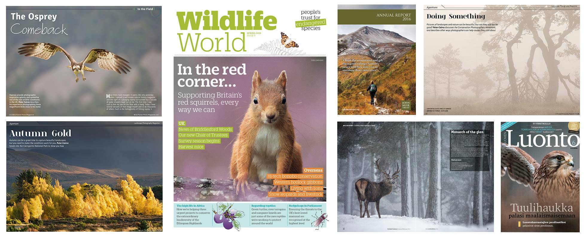 Tear Sheets Tear Sheets