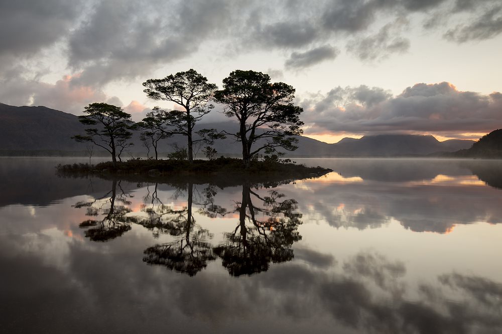 Rewilding Retreat - Rewilding Retreat - Cairngorms National Park, Scotland Rewilding Retreat - Rewilding Retreat - Cairngorms National Park, Scotland