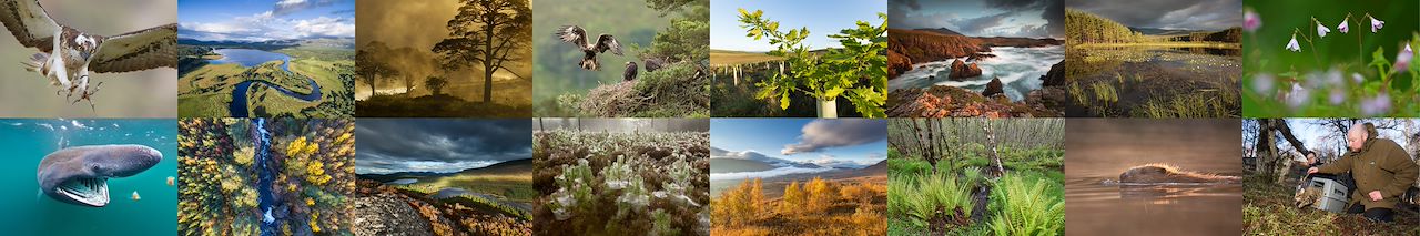 Image Library Grid Image Library Grid