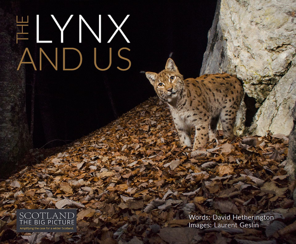 The Lynx and Us (ebook)