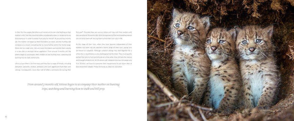 Image of Screen-Shot-lynx.jpg