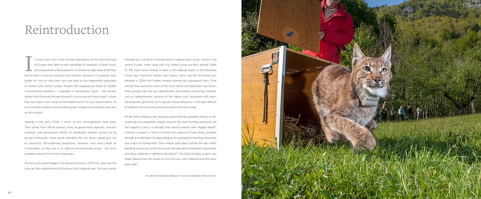 Image of Reintroduction.jpg