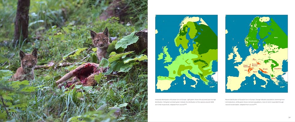 Image of Cubs-and-maps.jpg