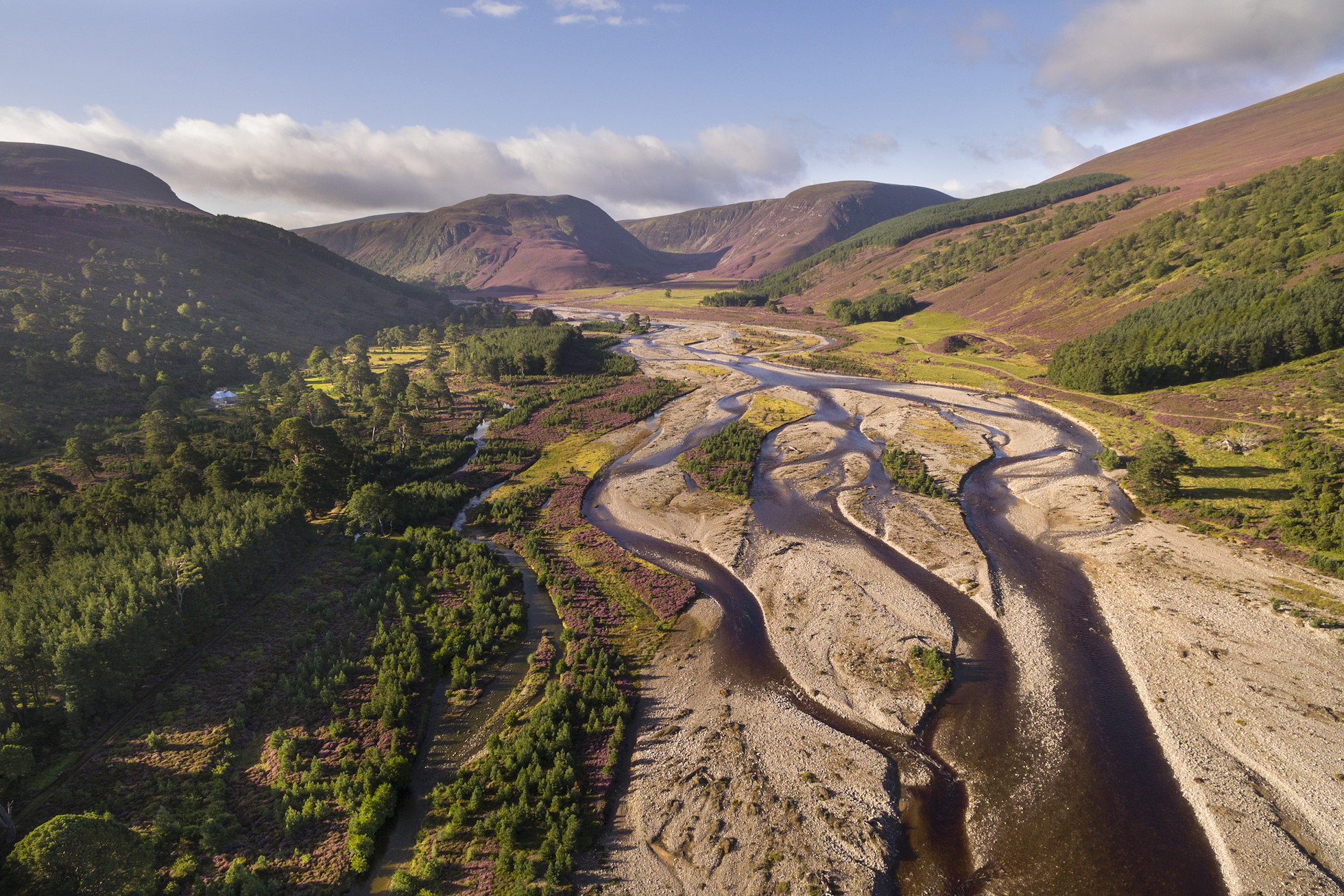 Rewilding Explorer: Highlands Summer - Rewilding Retreat - A rewilding journey in the spectacular Scottish Highlands. Rewilding Explorer: Highlands Summer - Rewilding Retreat - A rewilding journey in the spectacular Scottish Highlands.
