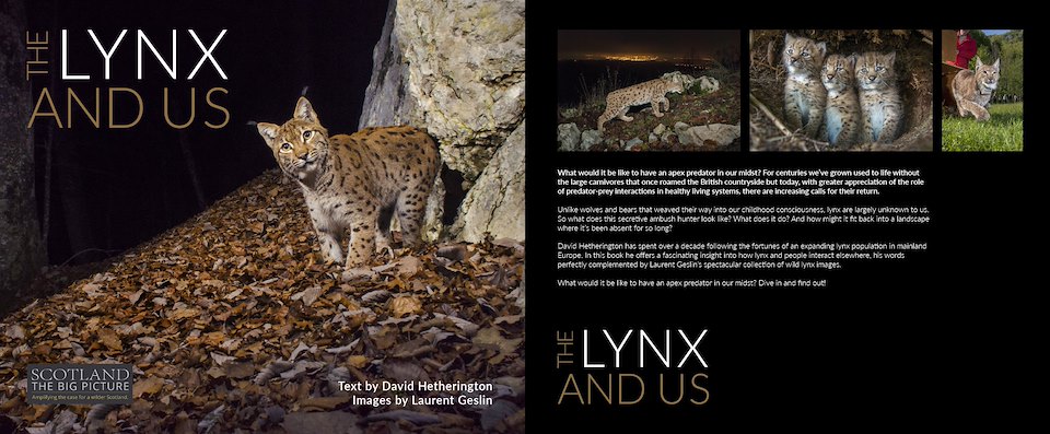 Image of Lynx-book-cover-dps.jpg
