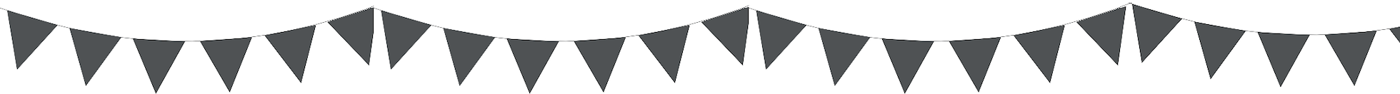 Bunting Bunting