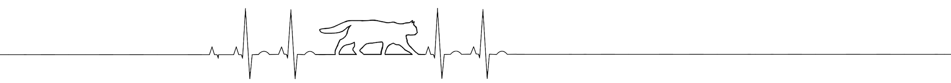 Heartbeat wildcat Heartbeat wildcat
