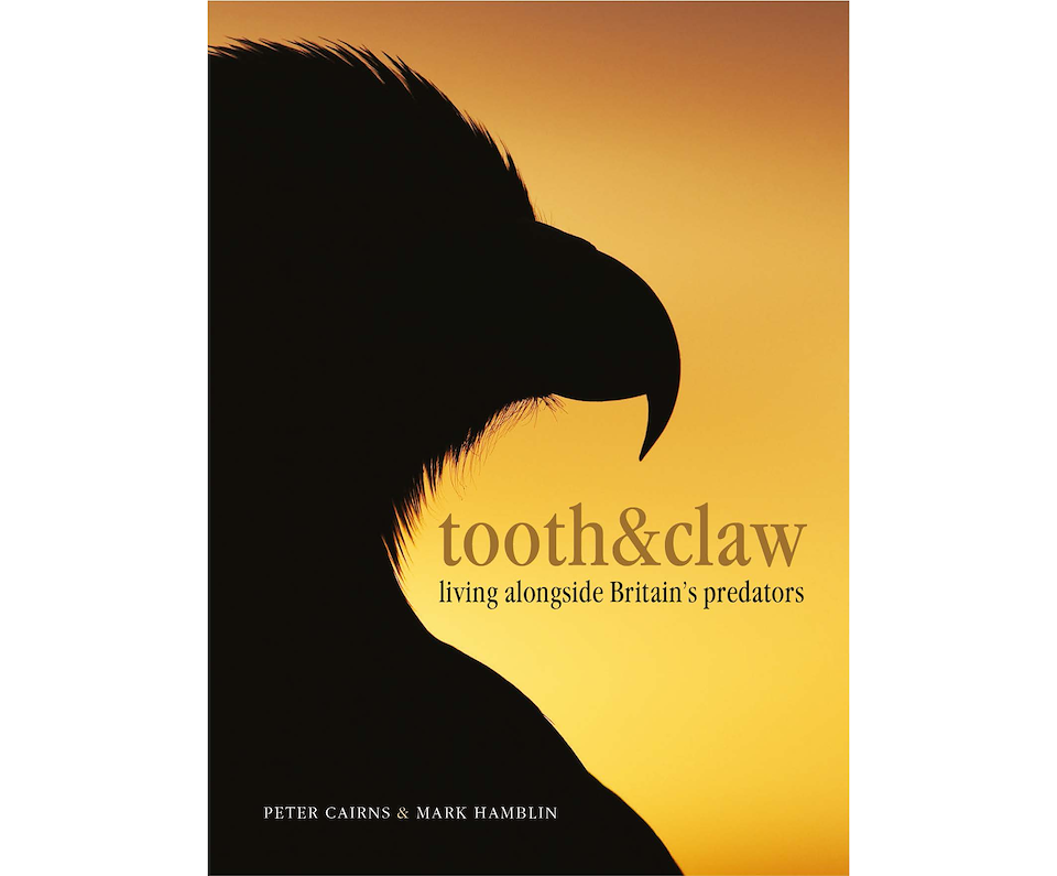 Tooth and Claw: Living alongside Britain's predators (ebook)