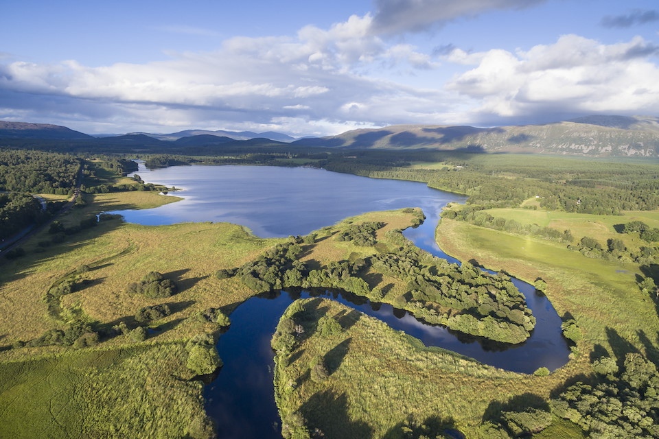 Rewilding Retreat Raffle