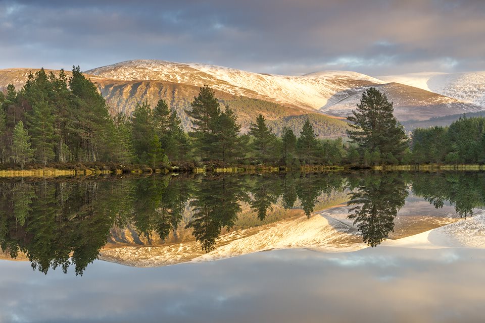 Wilderness Weekend: Cairngorms Connect - Rewilding Retreat - Discover the story of the UK’s largest landscape scale restoration project Wilderness Weekend: Cairngorms Connect - Rewilding Retreat - Discover the story of the UK’s largest landscape scale restoration project