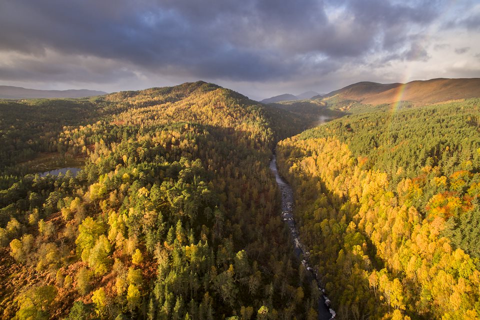 Rewilding Explorer: Highlands Autumn - Rewilding Retreat - A journey of rewilding across the spectacular Scottish Highlands. Rewilding Explorer: Highlands Autumn - Rewilding Retreat - A journey of rewilding across the spectacular Scottish Highlands.