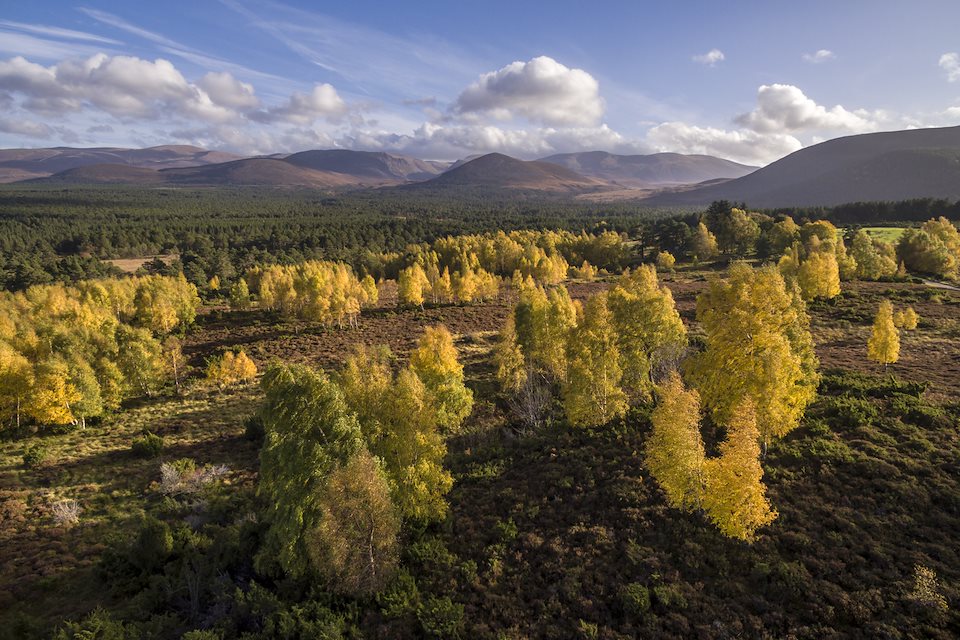 Rewilding Explorer: Highlands Autumn - Rewilding Retreat - A journey of rewilding across the spectacular Scottish Highlands. Rewilding Explorer: Highlands Autumn - Rewilding Retreat - A journey of rewilding across the spectacular Scottish Highlands.