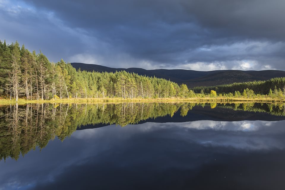 Wilderness Weekend: Cairngorms Connect - Rewilding Retreat - Discover the story of the UK’s largest landscape scale restoration project. Wilderness Weekend: Cairngorms Connect - Rewilding Retreat - Discover the story of the UK’s largest landscape scale restoration project.