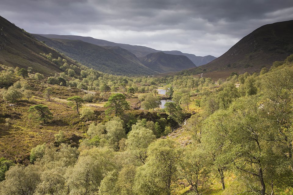 Wilderness Weekend: Alladale Reserve - Rewilding Retreat - A luxurious stay in a Victorian lodge at one of Scotland’s most celebrated rewilding initiatives. Wilderness Weekend: Alladale Reserve - Rewilding Retreat - A luxurious stay in a Victorian lodge at one of Scotland’s most celebrated rewilding initiatives.