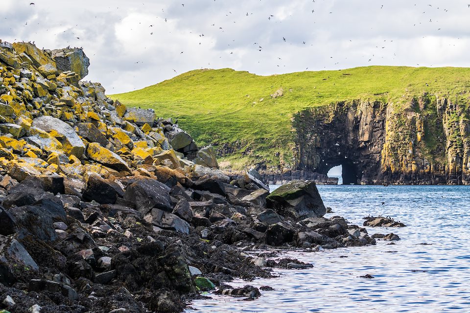 Wilderness Weekend: The Minch - Rewilding Retreat - Cruise across the rich waters of the Minch, a haven for cetaceans and seabirds. Wilderness Weekend: The Minch - Rewilding Retreat - Cruise across the rich waters of the Minch, a haven for cetaceans and seabirds.
