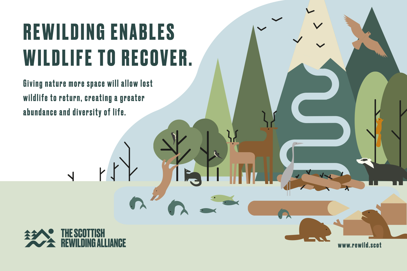 Rewilding Cartoon Free downloads from SCOTLAND: The Big Picture