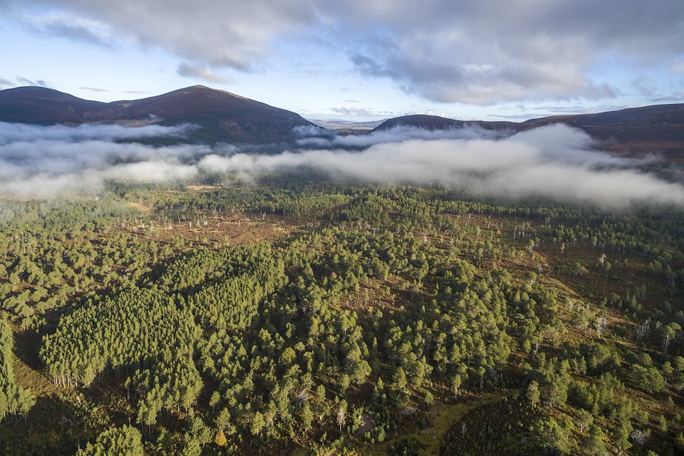 Image of LARGE_DJI_0069.jpg