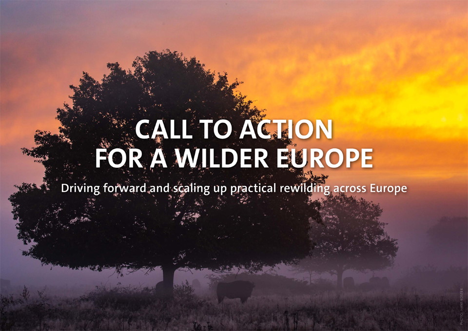 REWILDING CALL TO ACTION