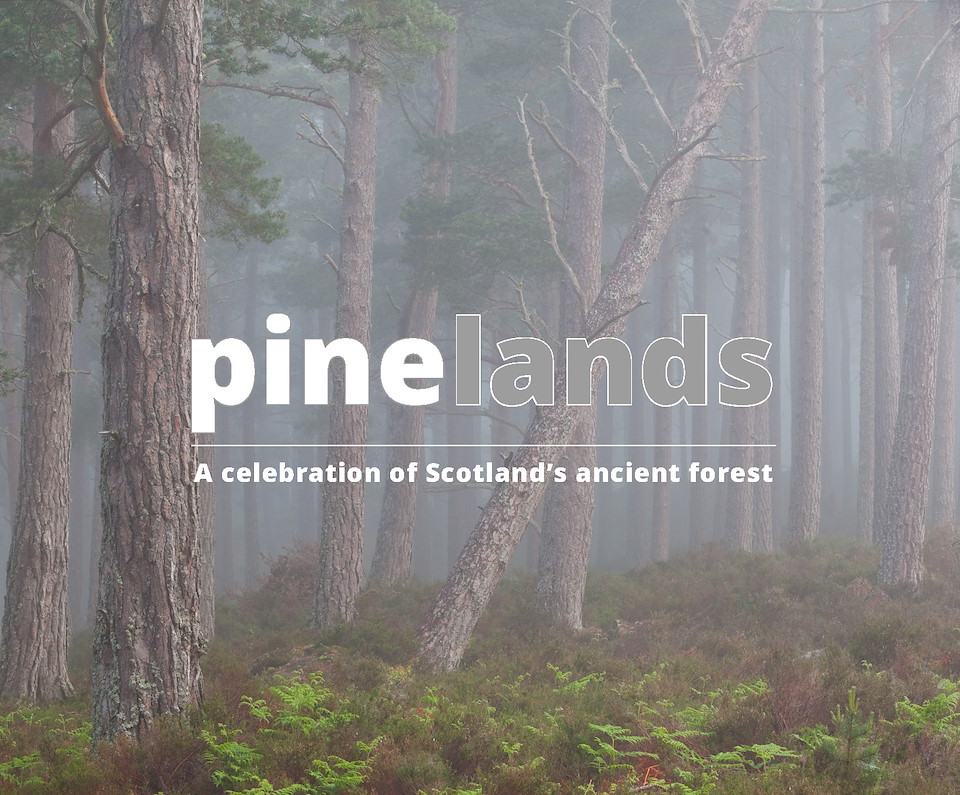 Pinelands (ebook)