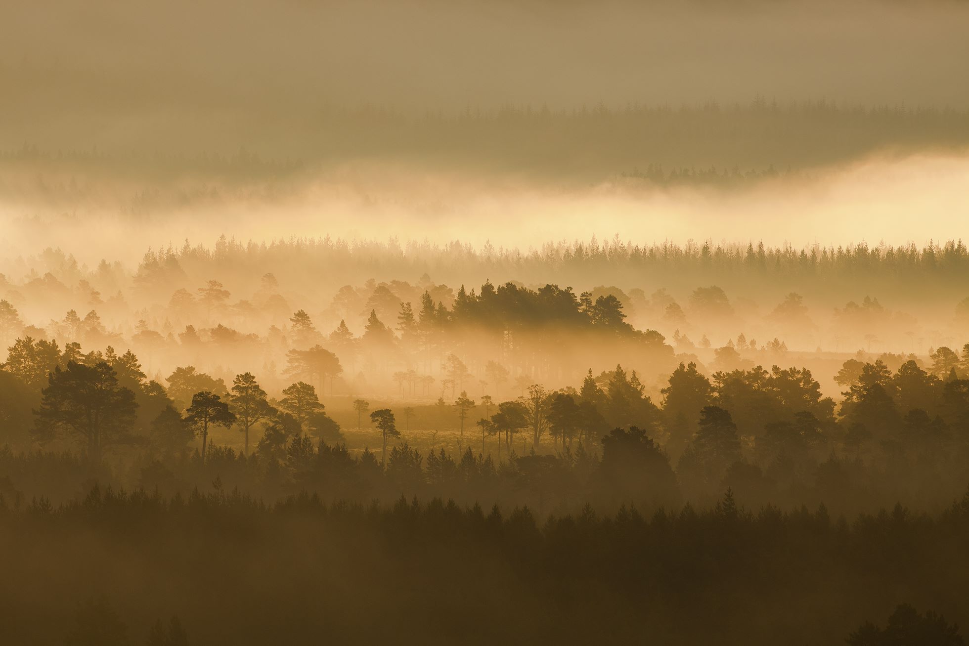 HELP US REWRITE NATURE'S STORY HELP US REWRITE NATURE'S STORY