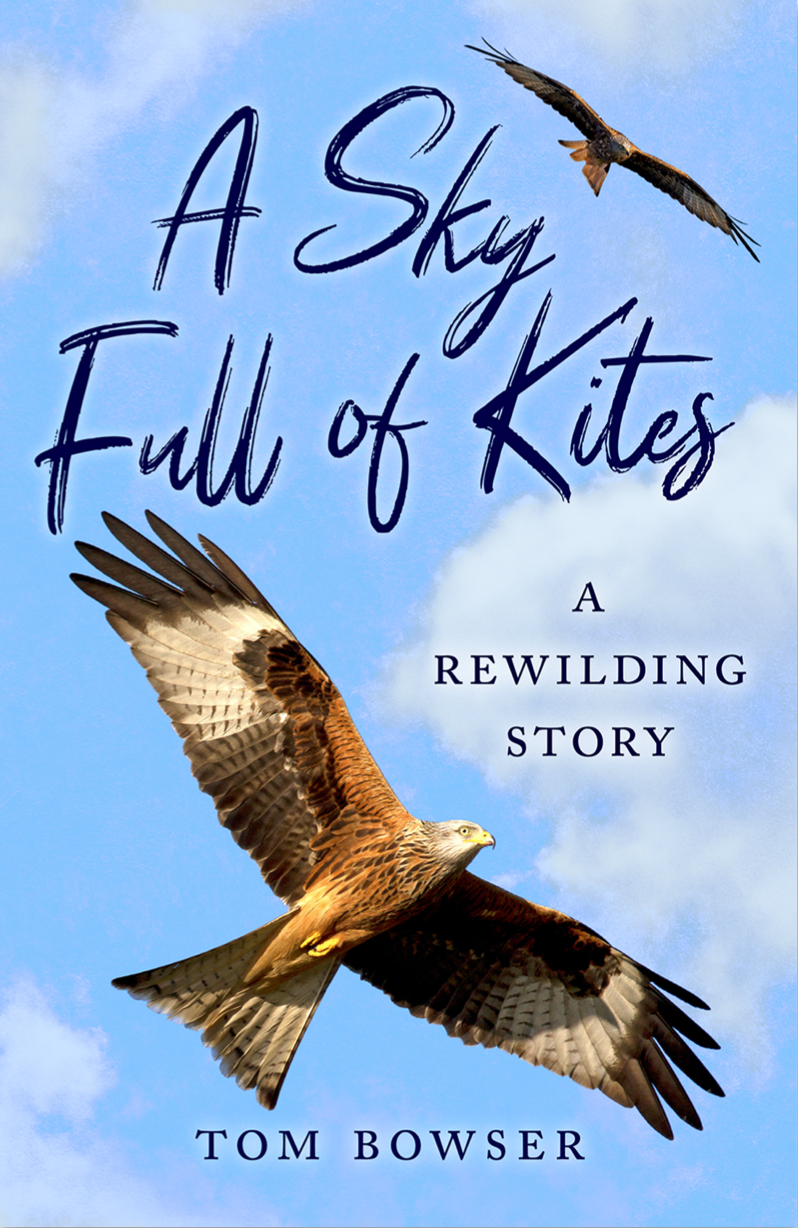 A Sky Full of Kites A Sky Full of Kites