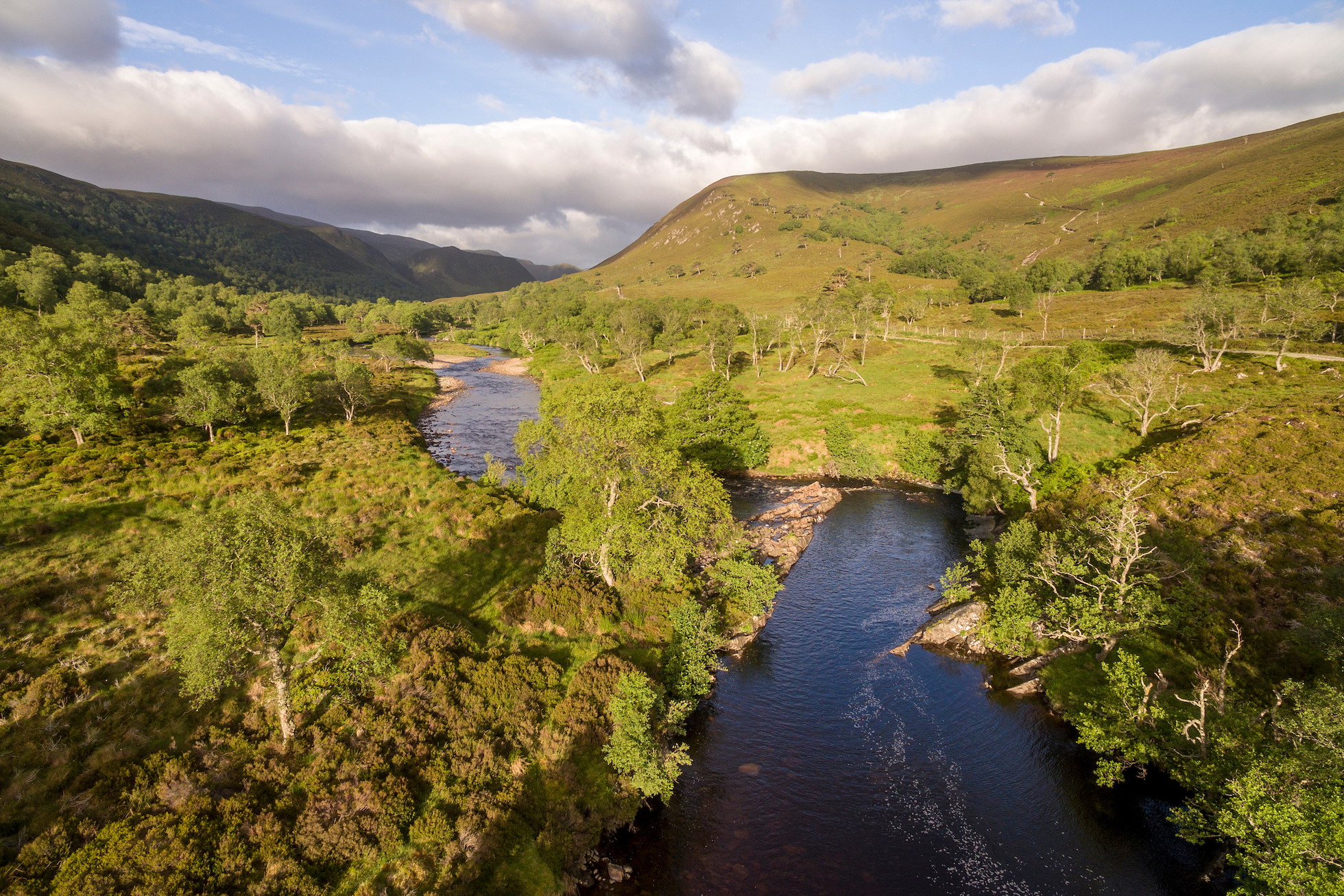 Rewilding Explorer: Alladale - Rewilding Retreat - Immerse yourself in the wilds of the Scottish Highlands in a luxury Victorian lodge. Rewilding Explorer: Alladale - Rewilding Retreat - Immerse yourself in the wilds of the Scottish Highlands in a luxury Victorian lodge.