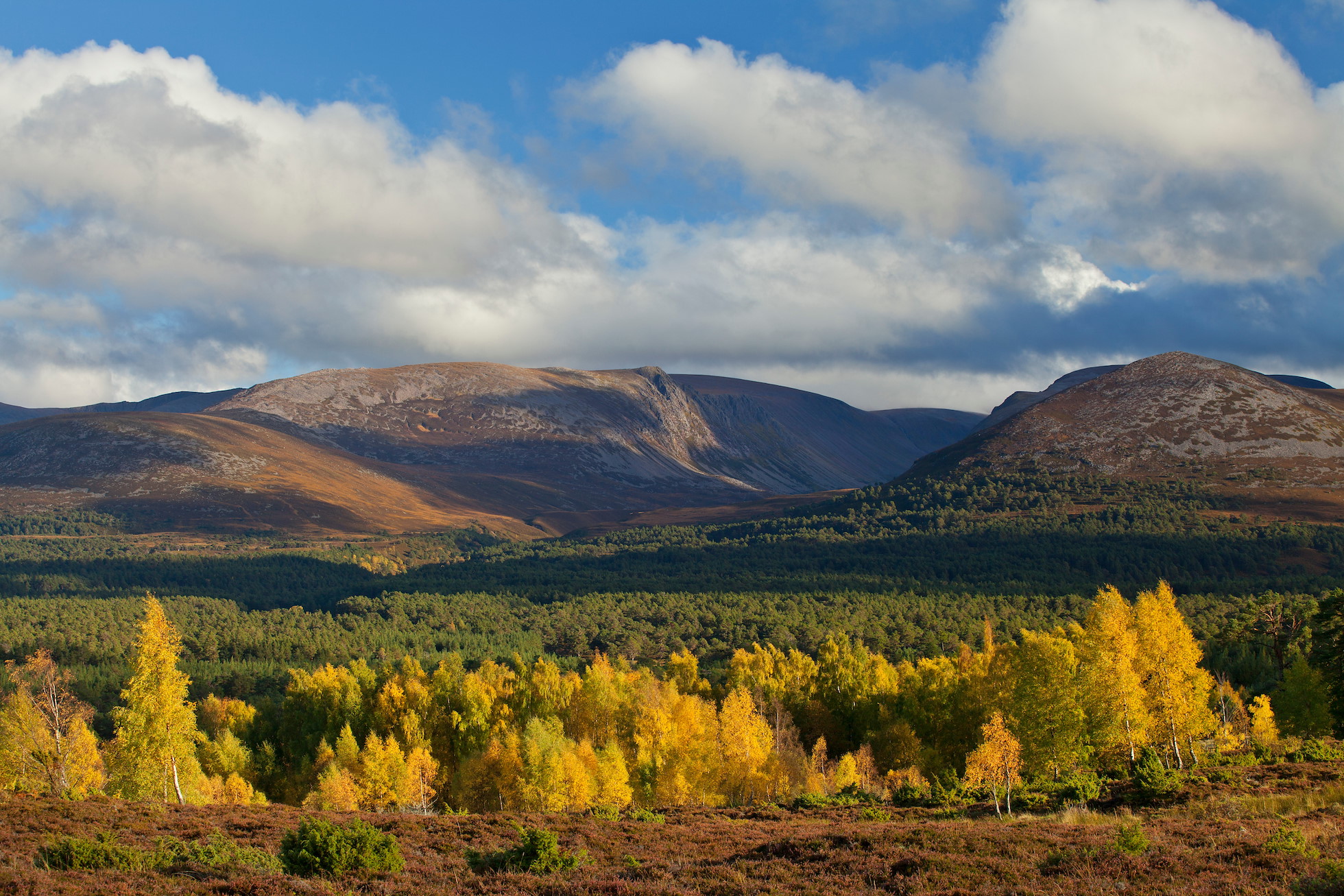 Rewilding Explorer: Highlands Autumn - Rewilding Retreat - A rewilding autumnal journey in the spectacular Scottish Highlands. Rewilding Explorer: Highlands Autumn - Rewilding Retreat - A rewilding autumnal journey in the spectacular Scottish Highlands.