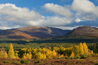 Rewilding Explorer: Highlands Autumn image