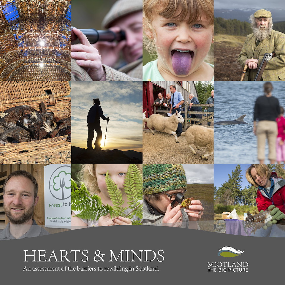 Hearts and Minds Report