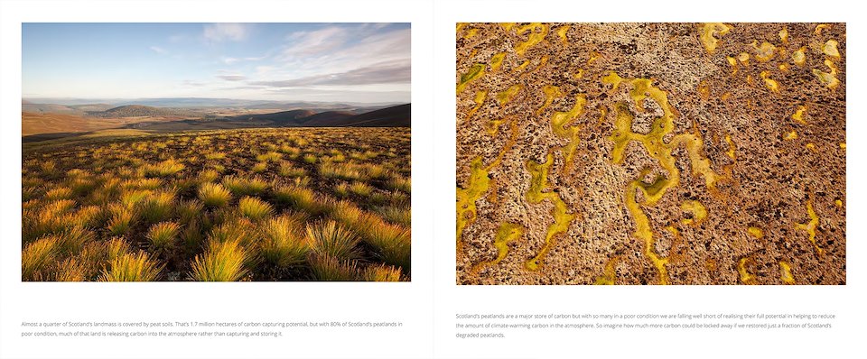 Image of Peatlands-ebook-pages-3.jpg