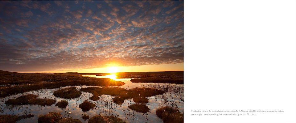 Image of Peatlands-ebook-pages-2.jpg