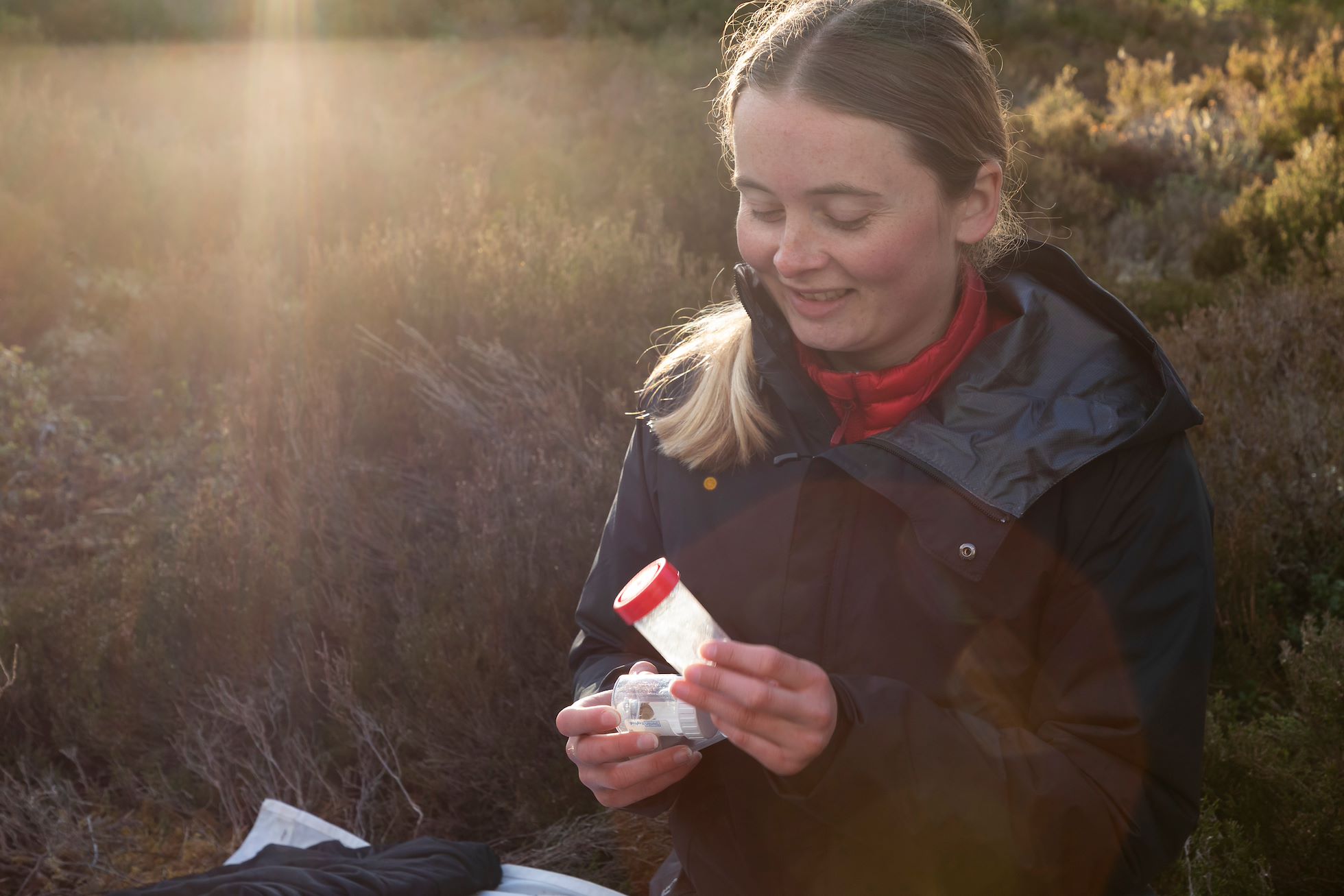 Ecologist, Christina Hunt, recording moth species, captured in trap as part of monitoring work for Cairngorms Connect, Inshriach Forest