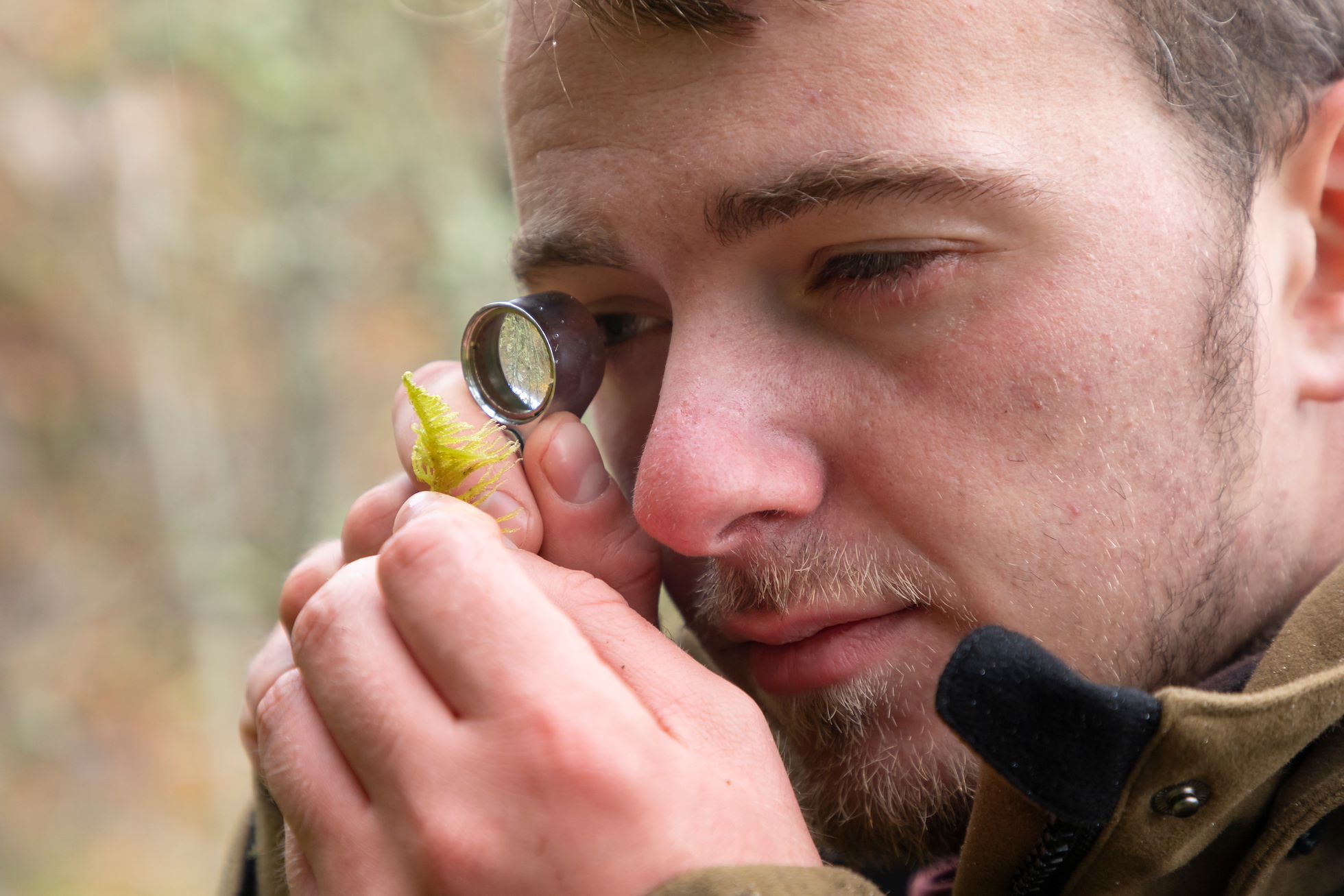 Ecologist, Gus Routledge examining moss sp. with magnifying glass, Glen Einich, Cairngorms National Park