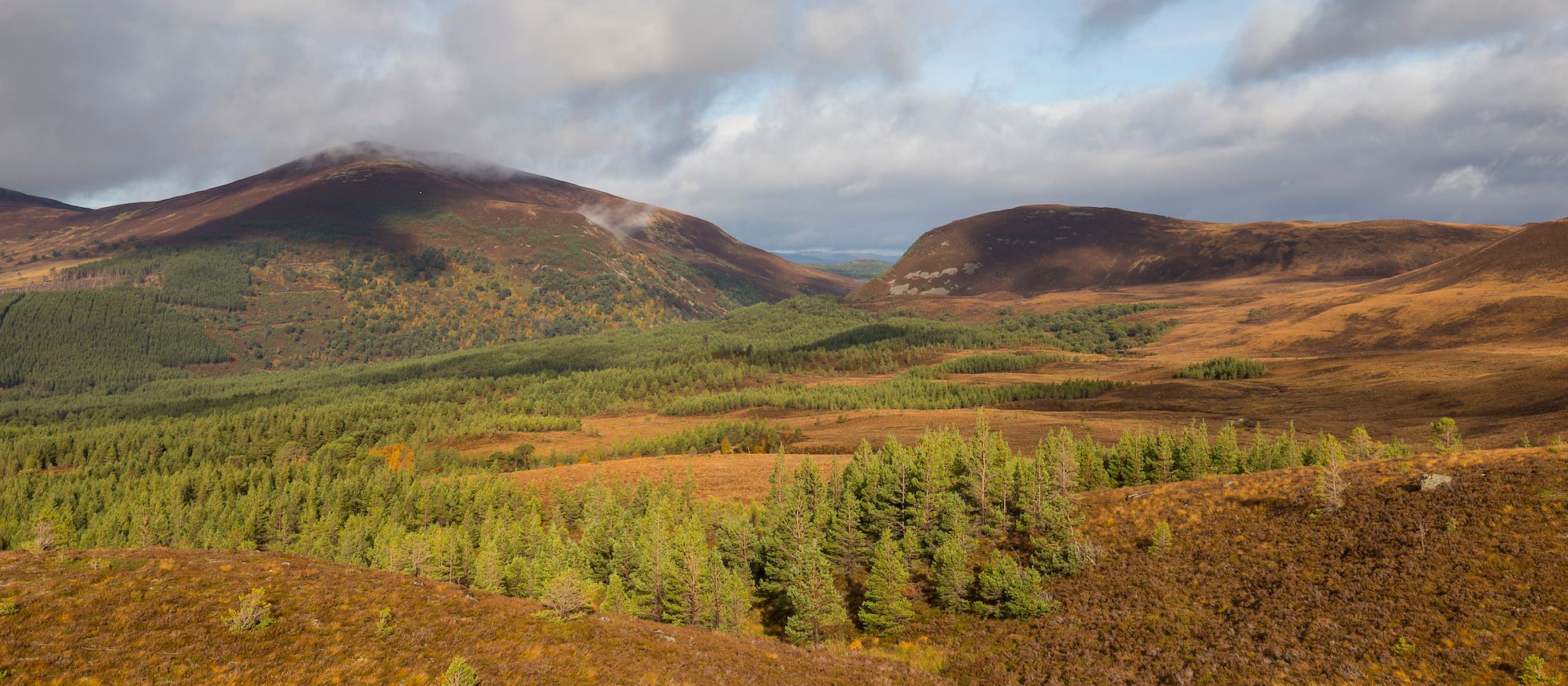 View across Glenmore Forest tpwards Ryvoan Pass, Cairngorms National Park, Scotland.