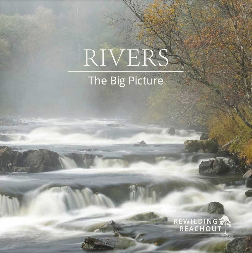 Rewilding Reachout: Rivers