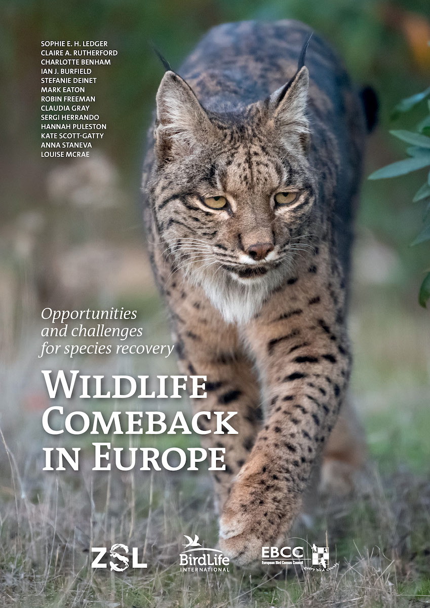Wildlife Comeback (PDF)