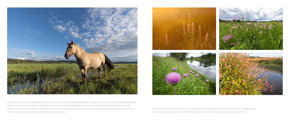 Image of waterlands-ebook-v1_Page_4.jpg
