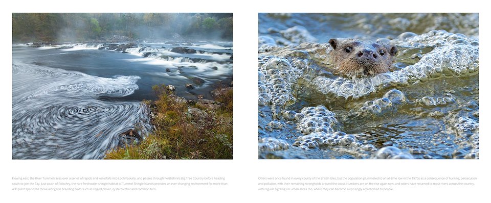 Image of waterlands-ebook-v1_Page_3.jpg