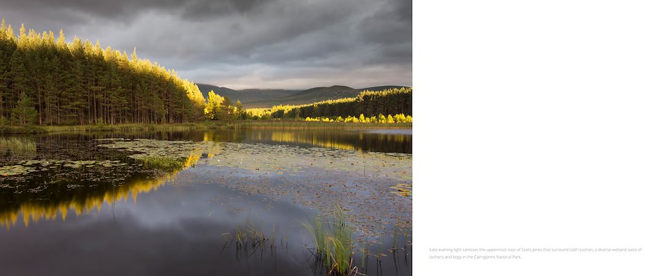 Image of waterlands-ebook-v1_Page_5.jpg