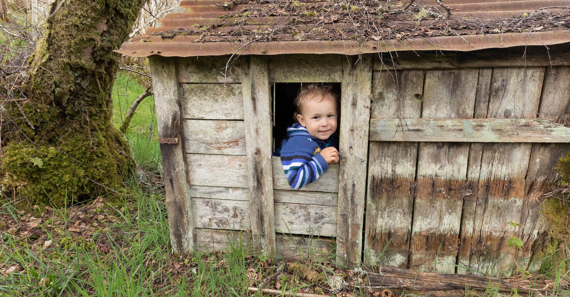 Young boy, Hamish, in old wooden play shelter in the woods at Cultulich Farm, Aberfeldy, Perthshire