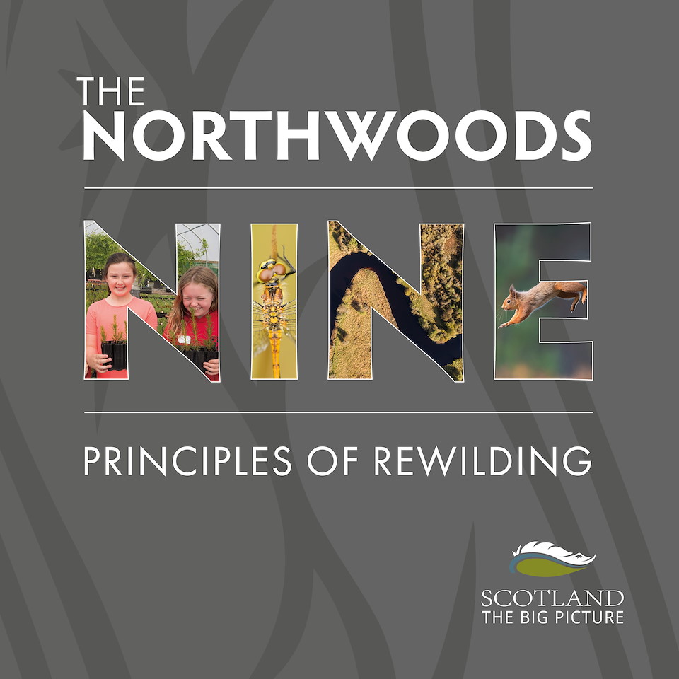 The Northwoods Nine