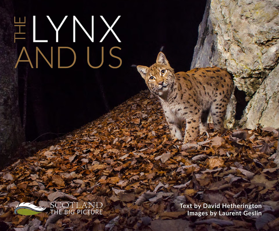 The Lynx and Us (ebook)