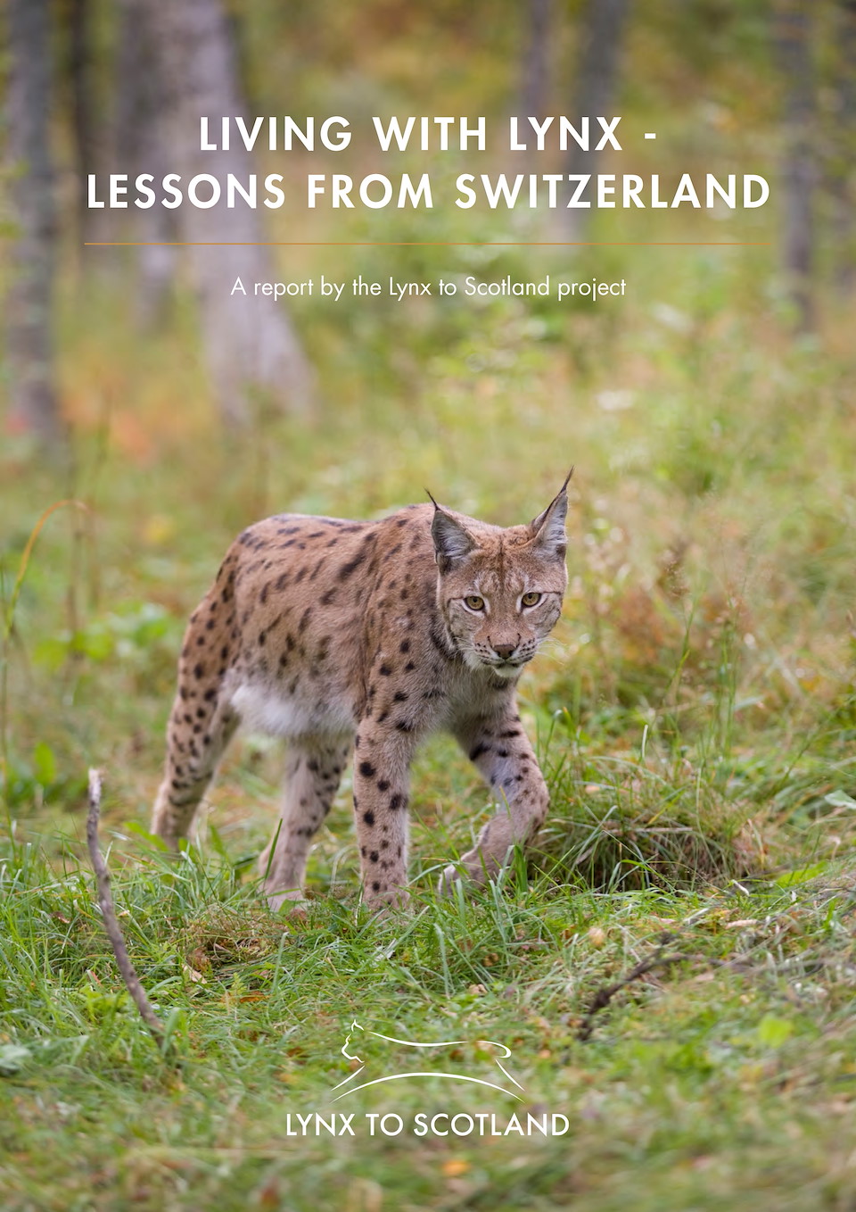 LYNX TO SCOTLAND STUDY TOUR REPORT