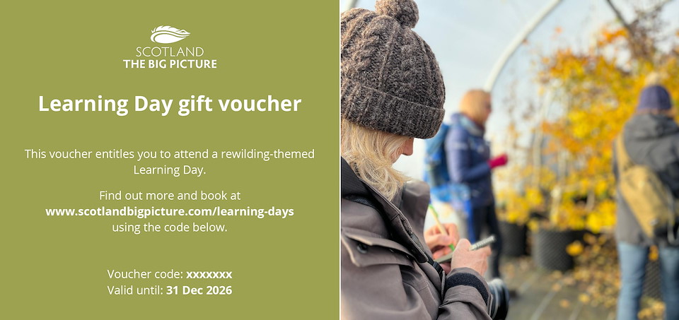Learning Day gift voucher