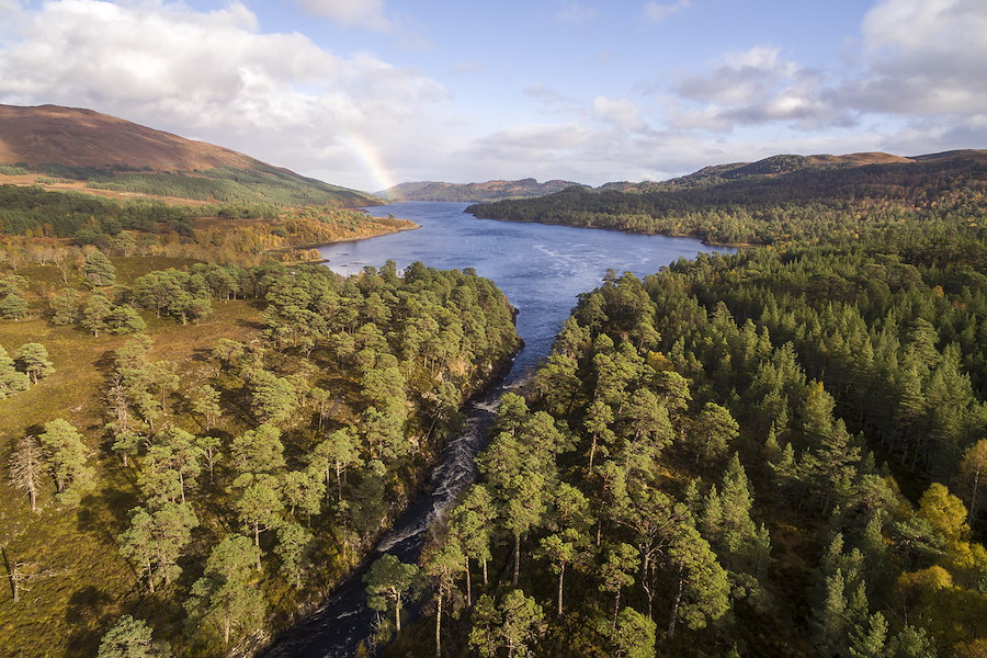 Rewilding Rewilding