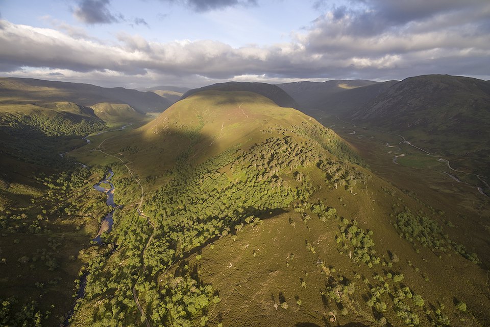 Alladale Wilderness Reserve