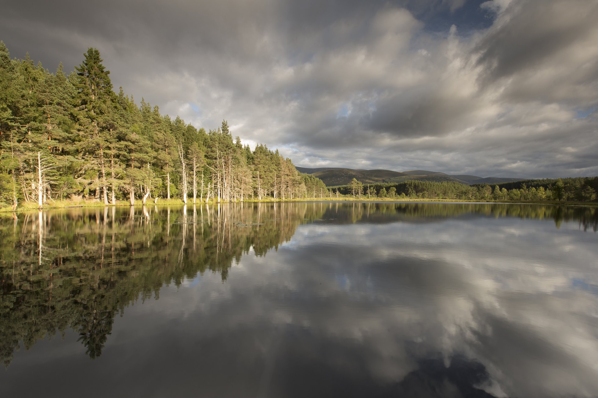 Uath Lochans in evening light, Glenfeshie, Scotland.