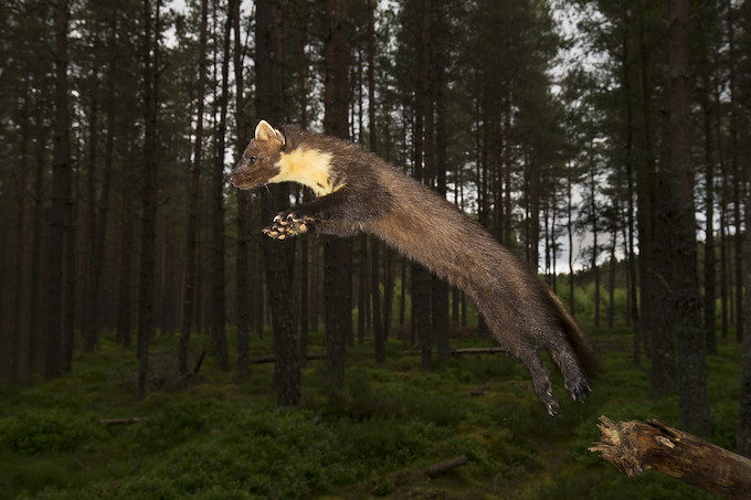 The Return Of The Taghan | Storytelling | SCOTLAND: The Big Picture