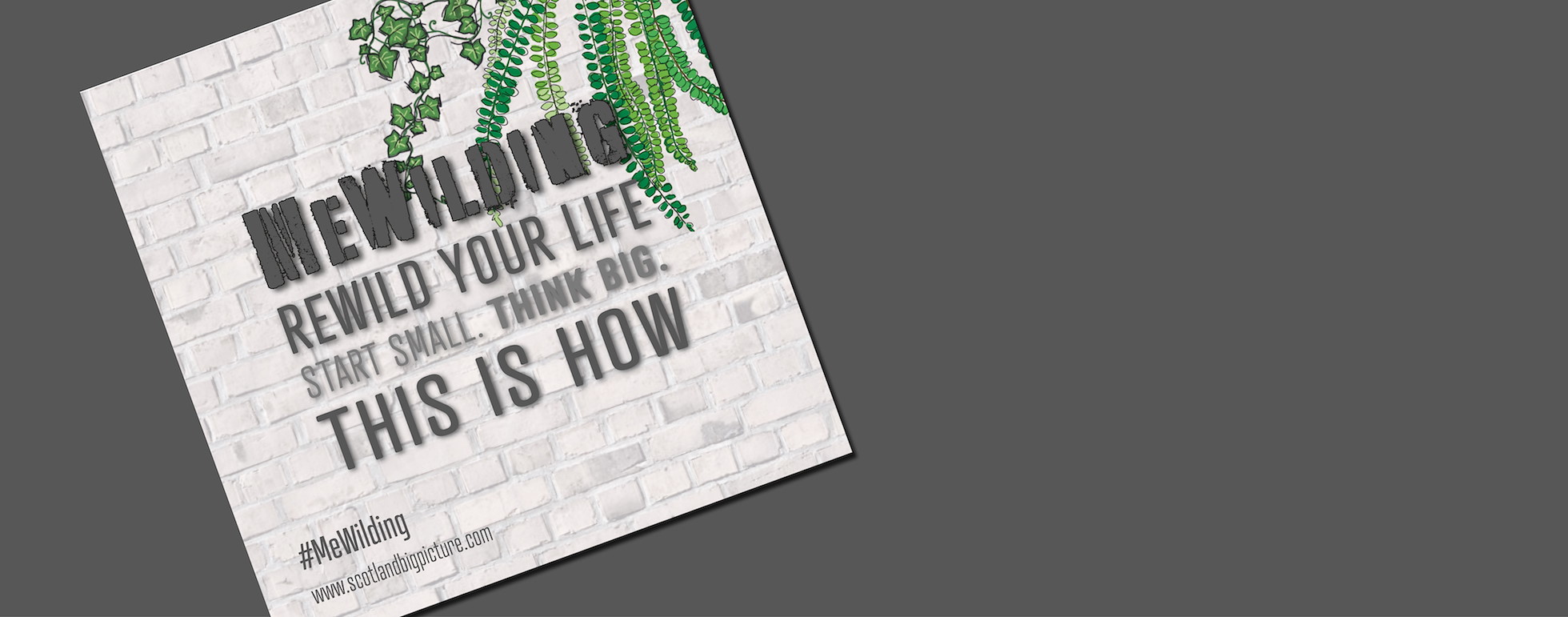 mewilding banner image