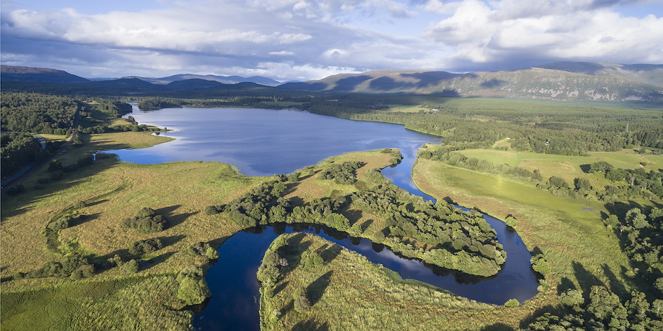 WHAT IS REWILDING? Rewilding is rivers brimming with salmon and trout.